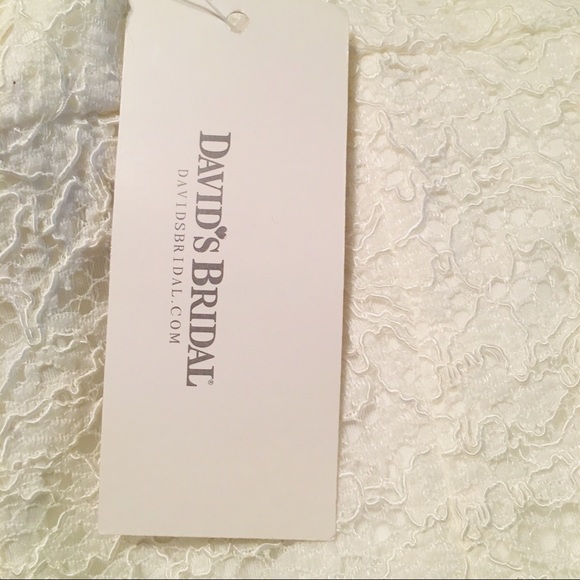 David’s Bridal Short Lace Wedding Dress - NWT - Picture 8 of 8